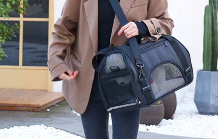 Pet carrier handbag